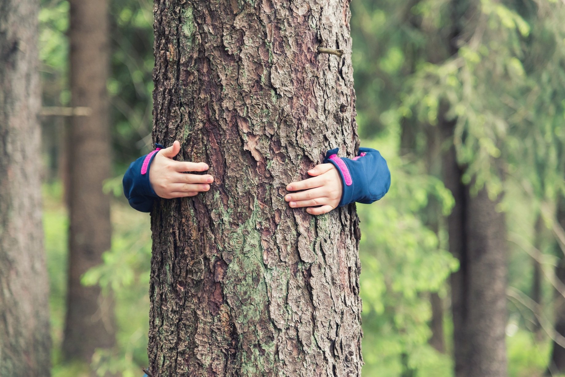 iStock-962618820