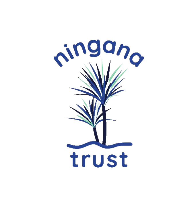 Ningana_Logo_Transparent (1) - Copy